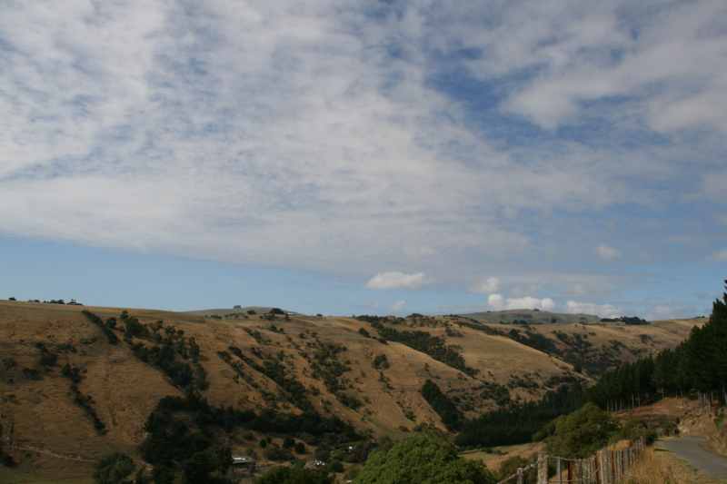 Nieuw-Zeeland 2011 - 2126